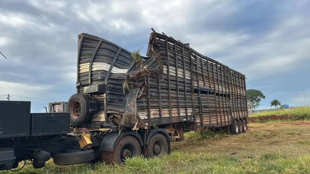 Imagem de compartilhamento para o artigo PMA descarta contaminação ambiental em área de descarte de bovinos na Serra Sucuriú, em Paraíso das Águas da MS Todo dia